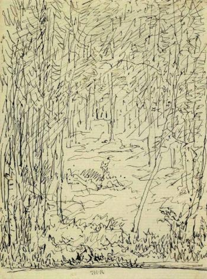 Sous-bois by Théodore Rousseau
