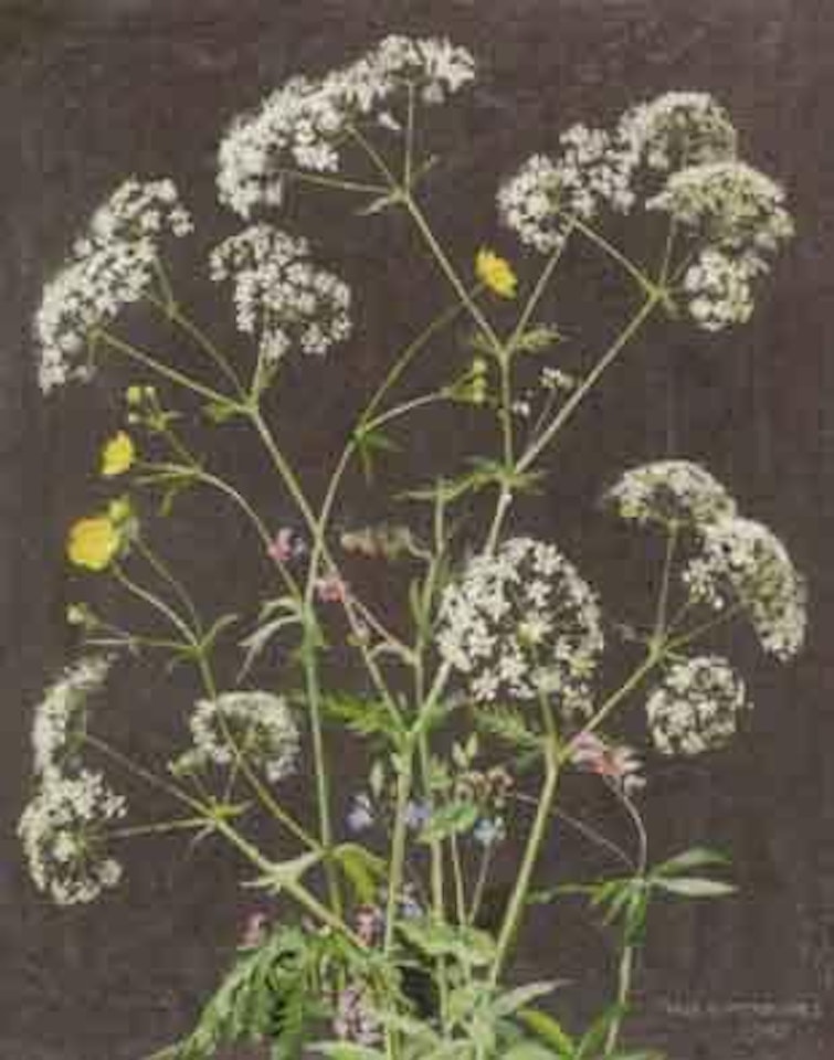 Chervil and buttercups by Olle Hjortzberg