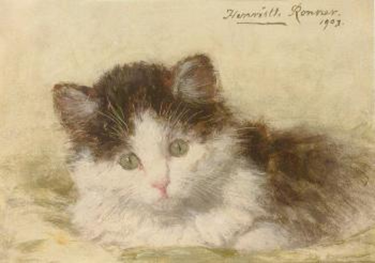 Inquisitive look by Henriette Ronner-Knip