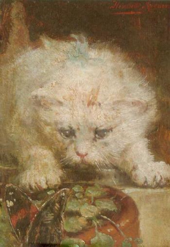 On the prowl by Henriette Ronner-Knip