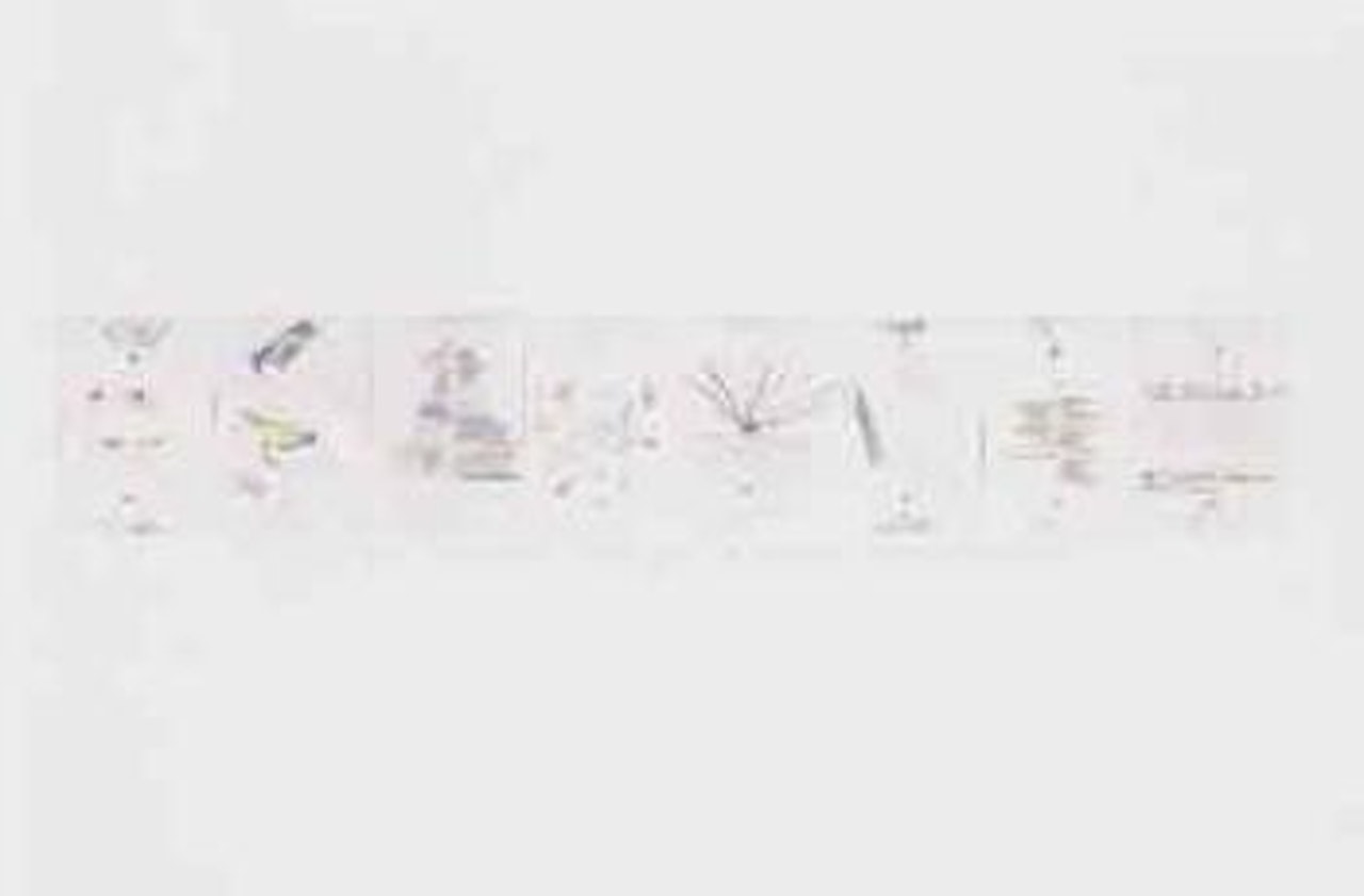 Untitled by Alighiero Boetti