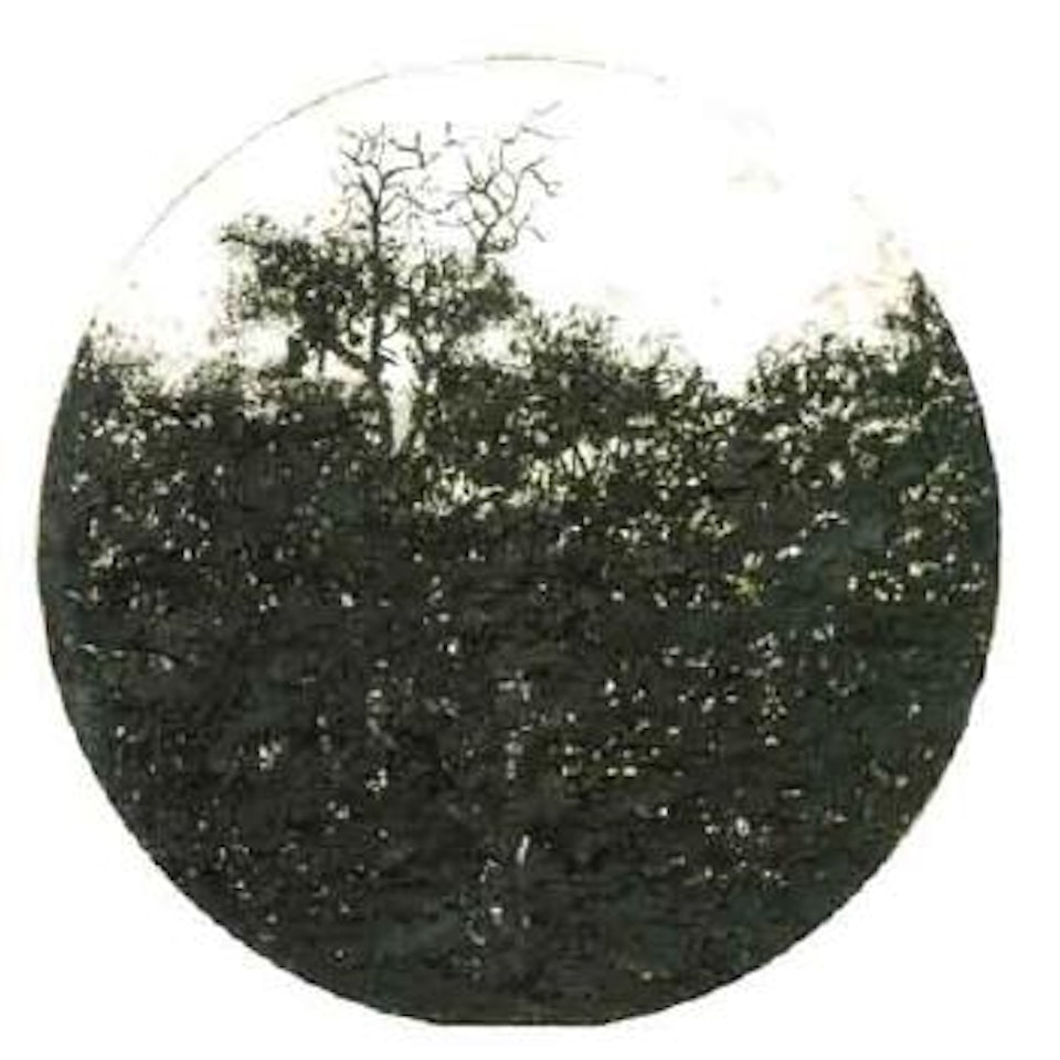 Landscape by Carlo Mattioli