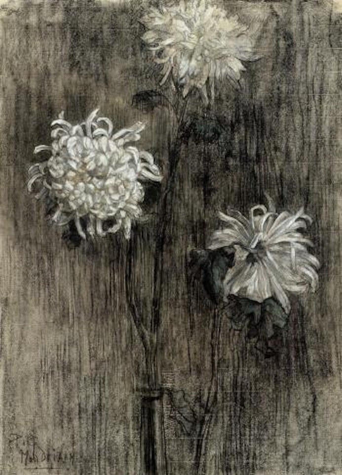 Three chrysanthemums by Piet Mondrian