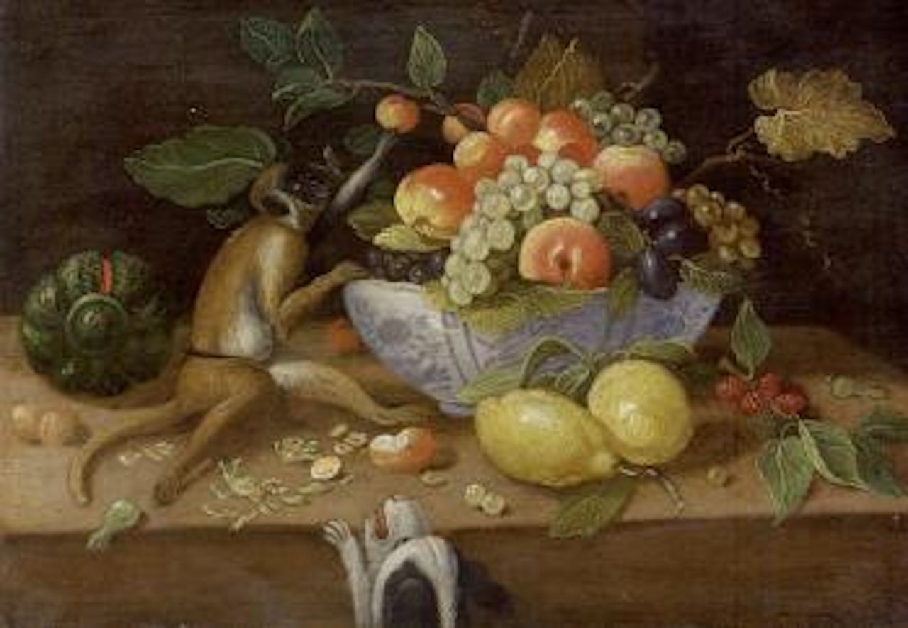 Monkey picking fruit from a wan-li kraak bowl filled with grapes and a dog by Jan Van Kessel The Elder