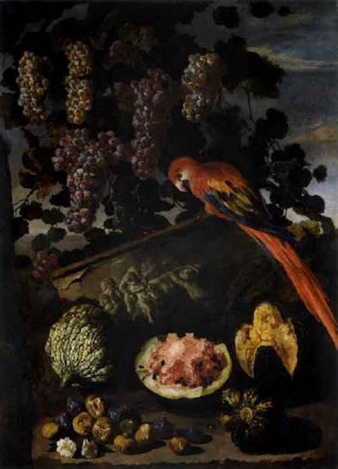 Still life of fruit with red macaw and starling by Neapolitan School