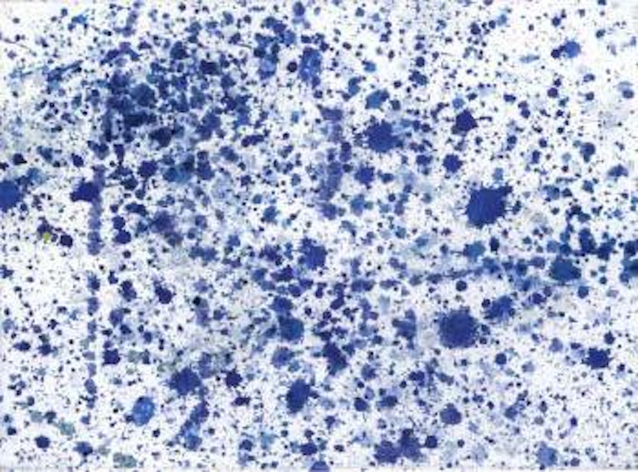 Summer of afternoons by Sam Francis