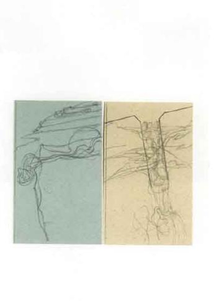 Norway by Joseph Beuys