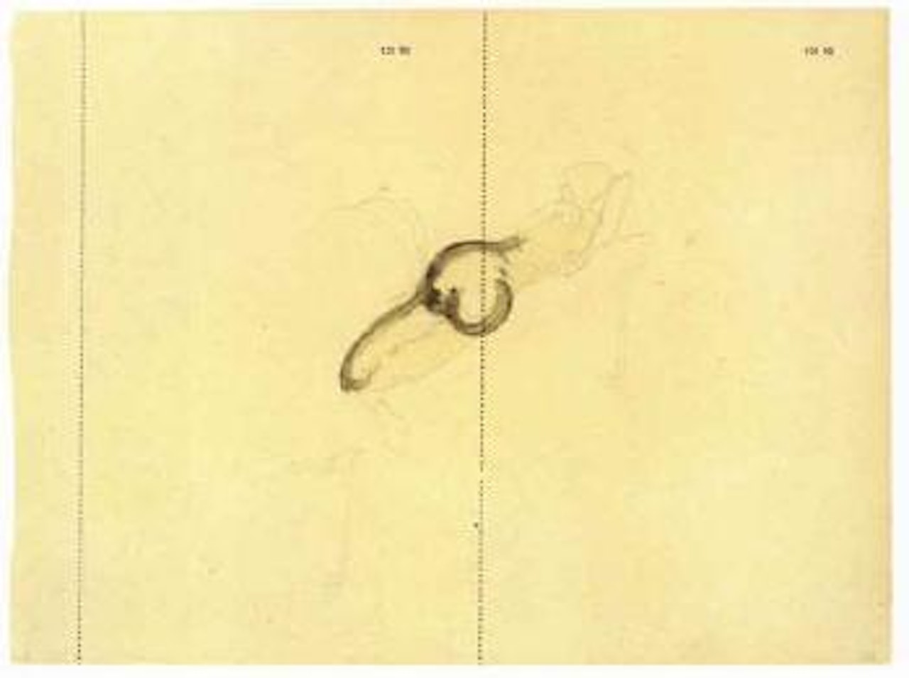 Ointment application by Joseph Beuys