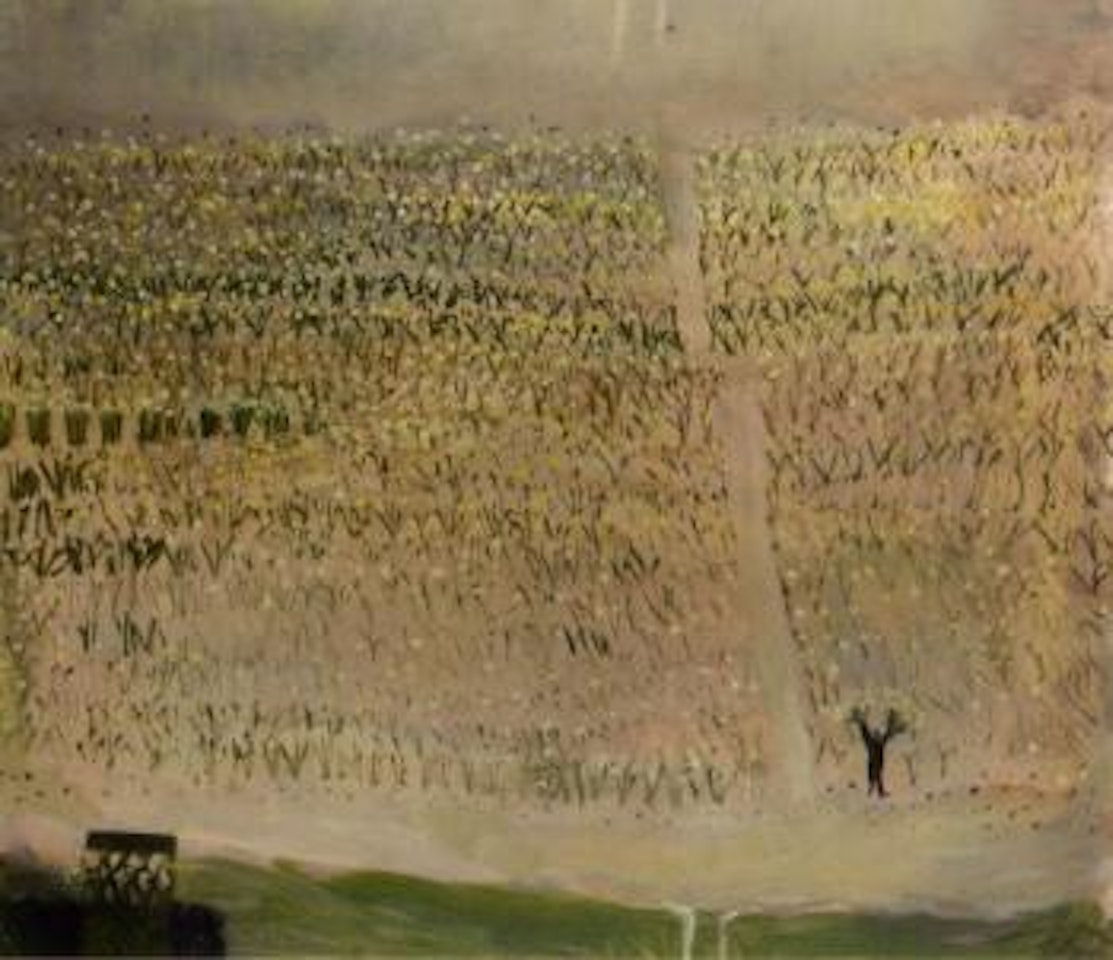 Daffodils for sale by Mary Newcomb