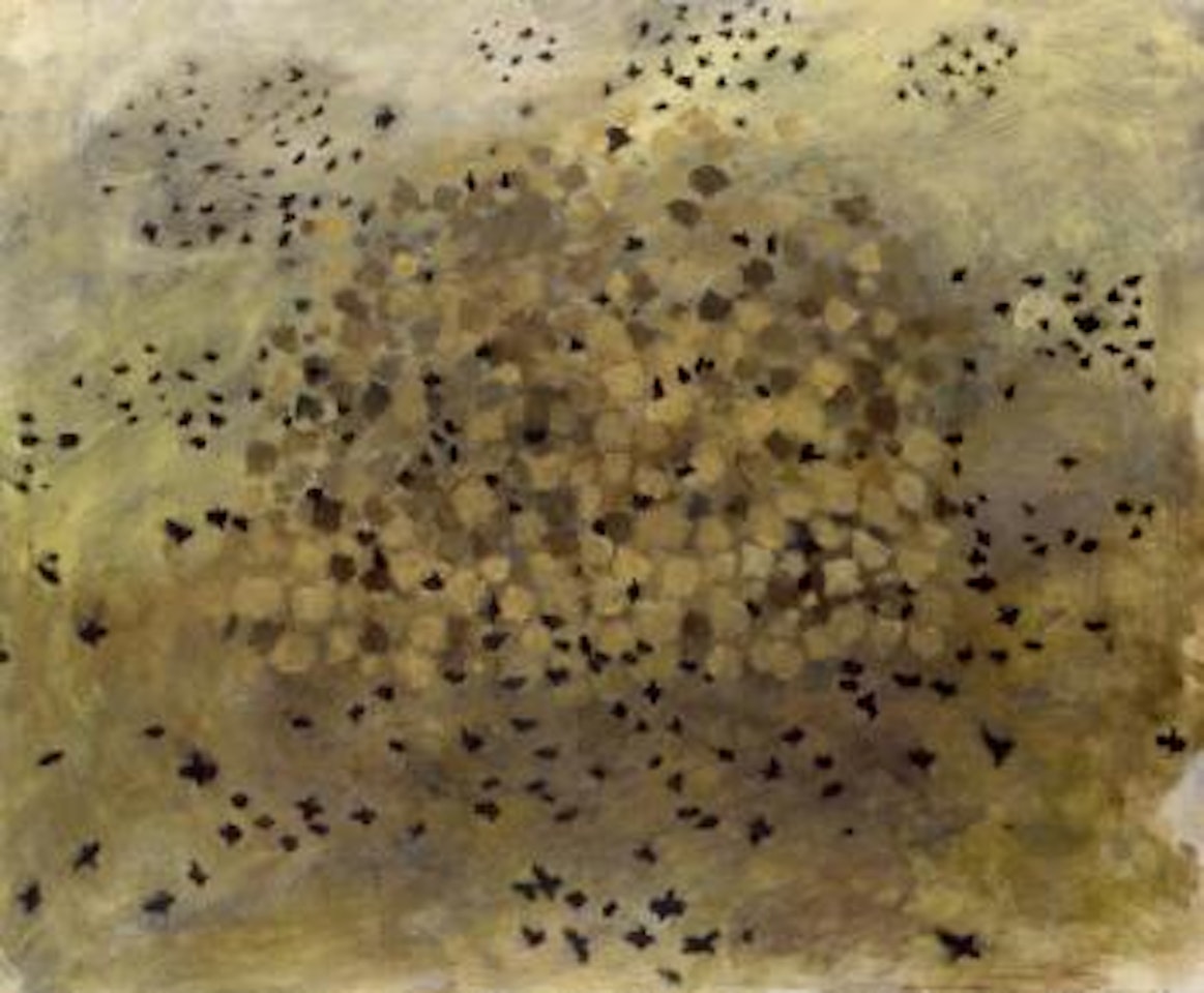 Rooks disturbed by Mary Newcomb