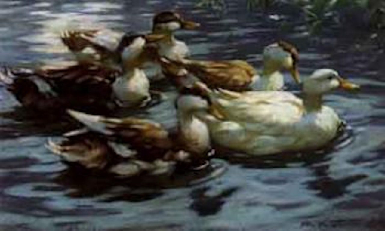 Ducks on a pond by Alexander Koester