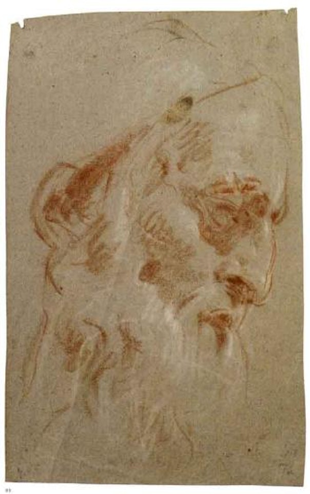 Head of bearded man by Giovanni Battista Tiepolo