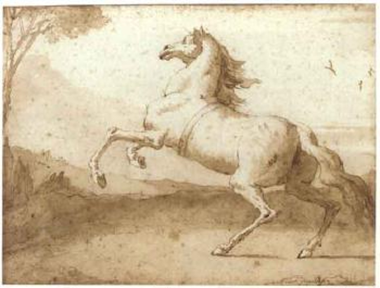 Rearing horse in landscape by Giovanni Domenico Tiepolo