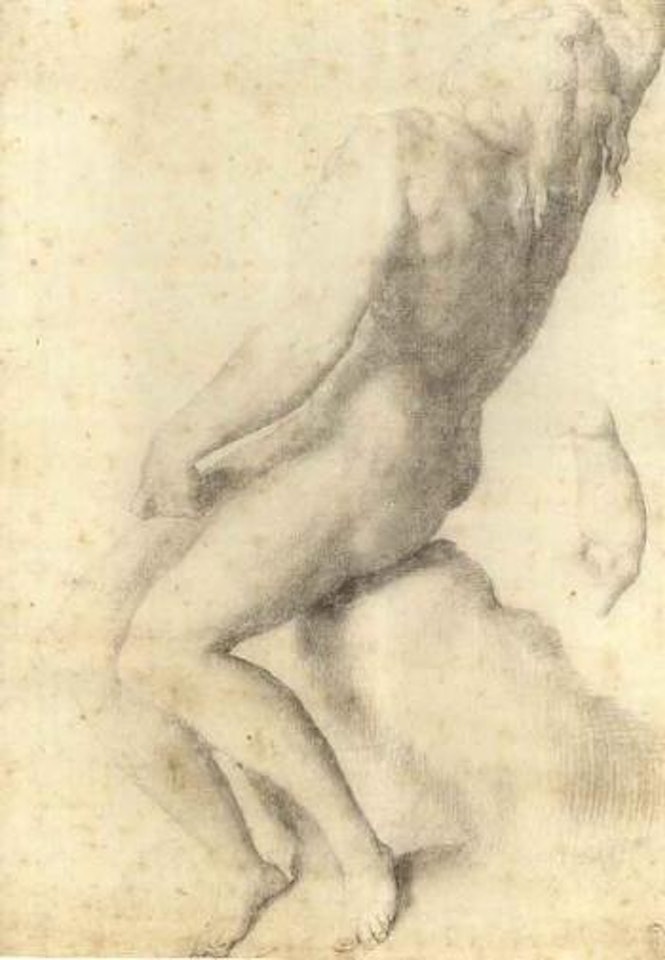Naked youth seated on rock by Francesco Salviati