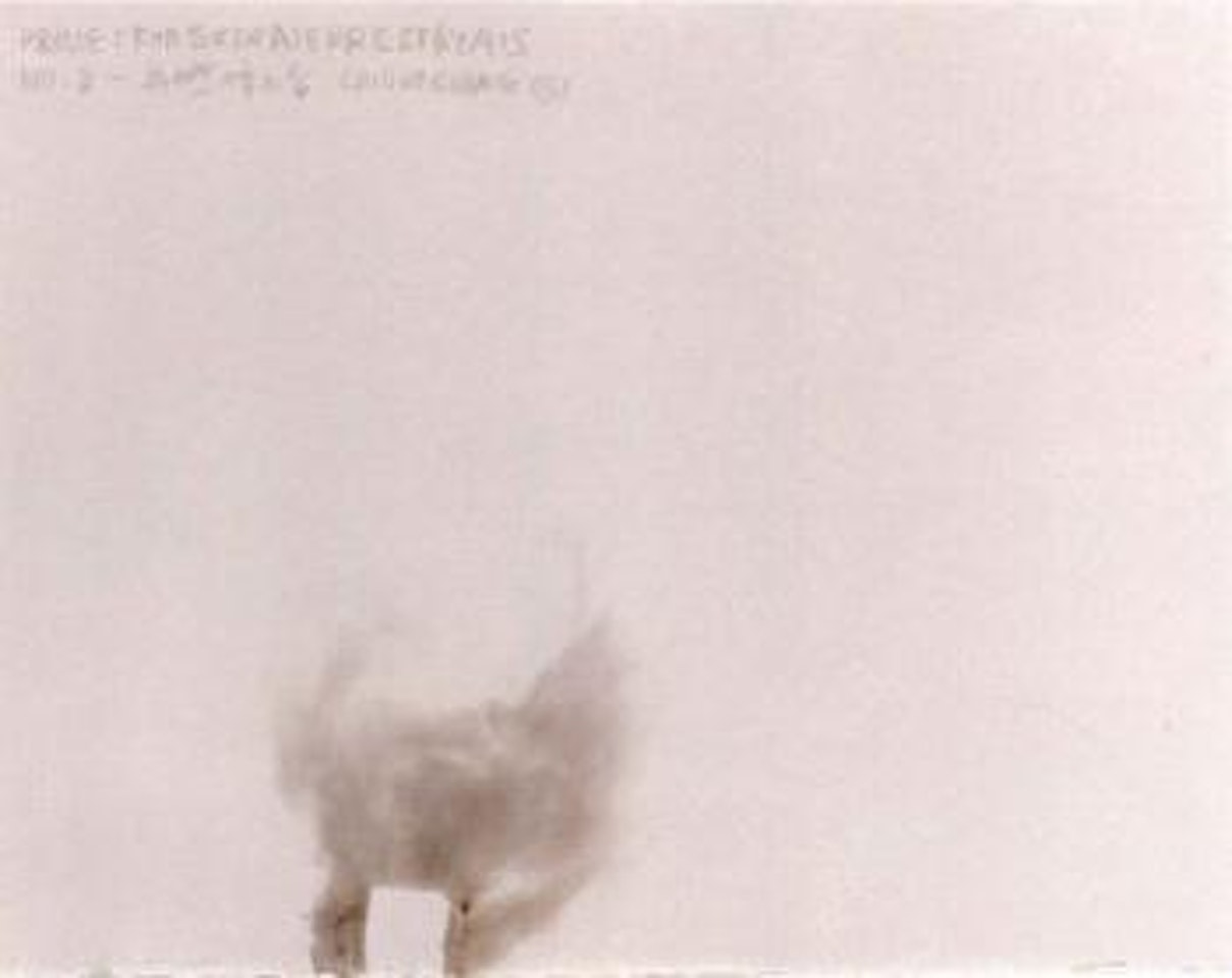 Project for the extraterrestrials No 8 by Cai Guo-Qiang