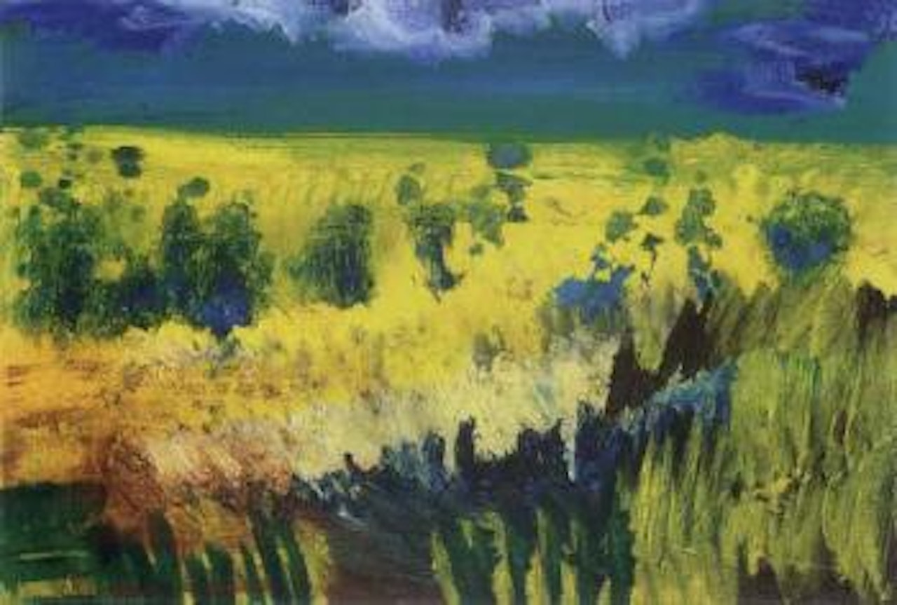 Field of rapeseed by Rainer Fetting