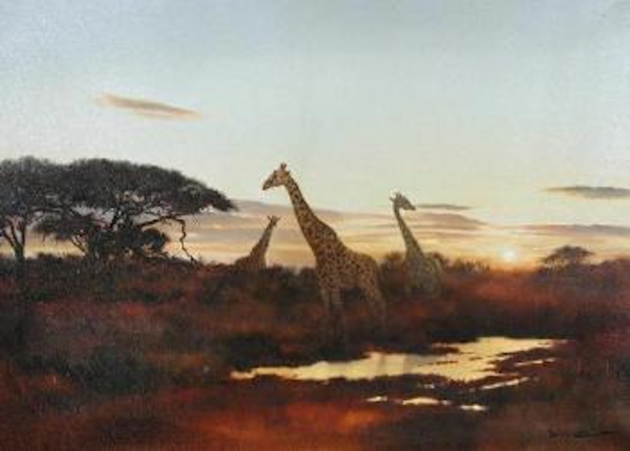 African sunset by Donald Grant