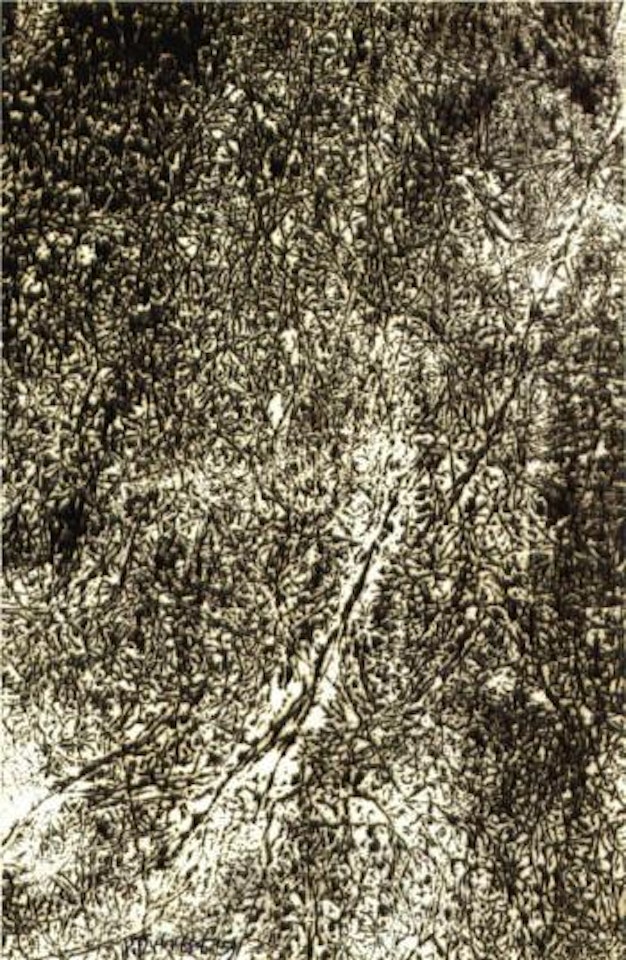 Resille 2 by Jean Dubuffet