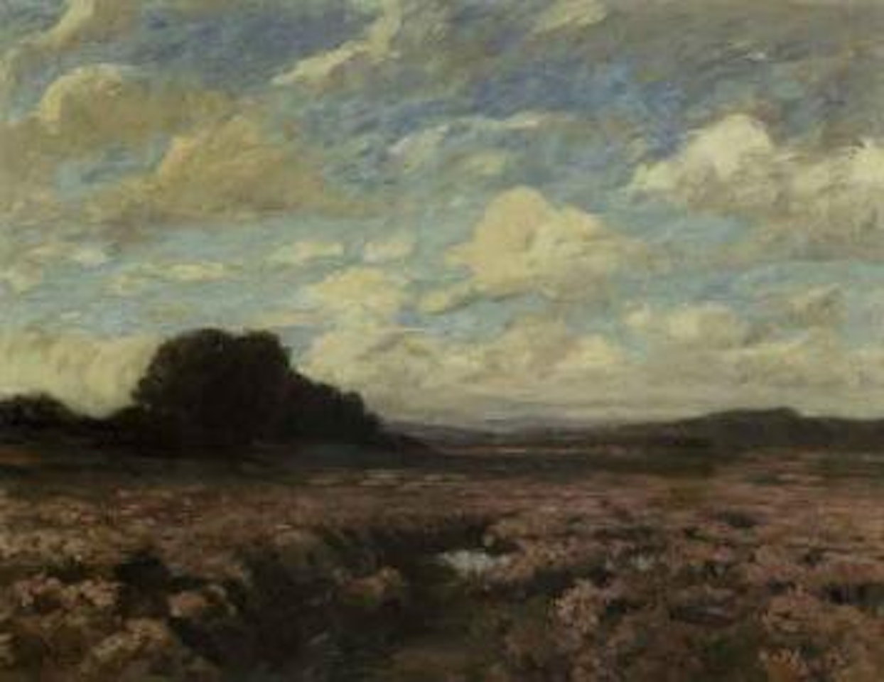 Blossoming moorland scene by Hans am Ende