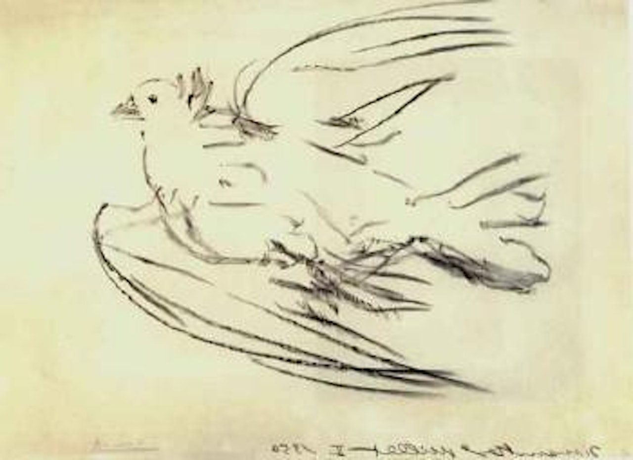 La colombe volant by Pablo Picasso