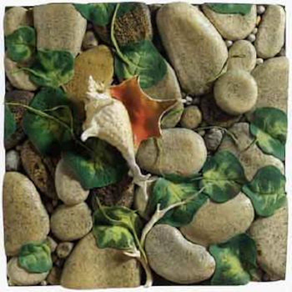 Seashell by Piero Gilardi