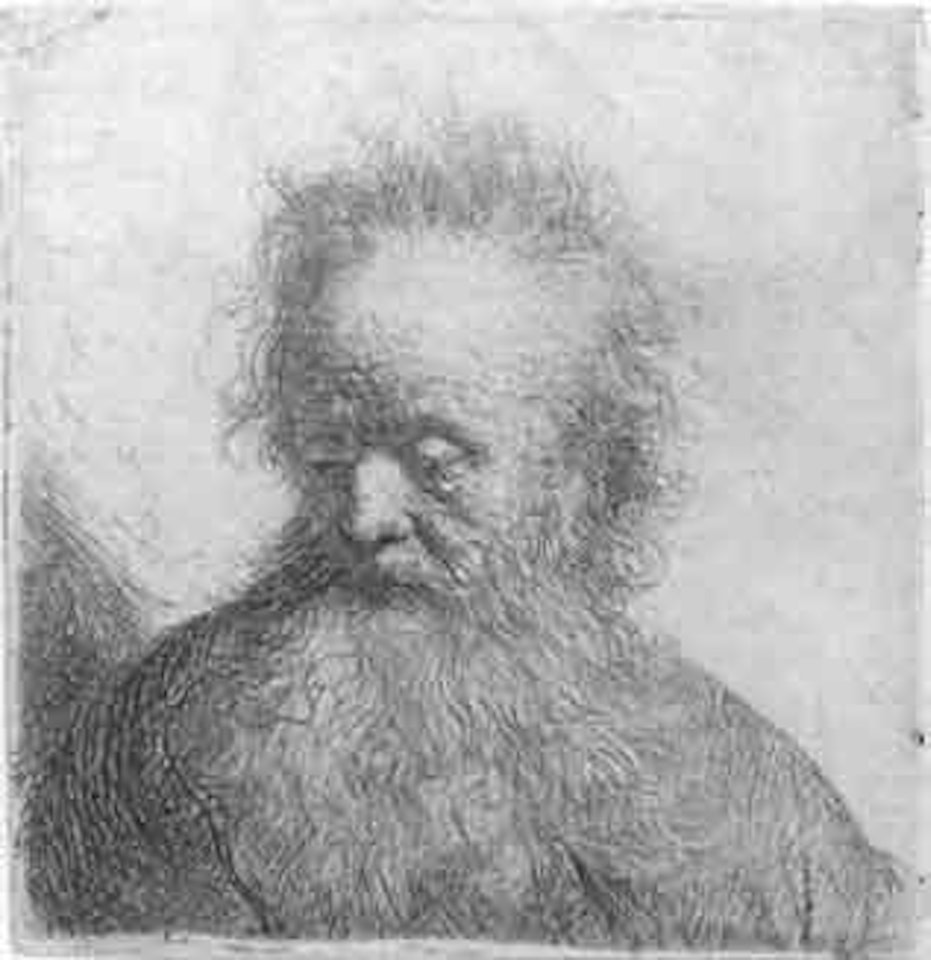 Bearded old man by Attributed to Rembrandt Harmensz van Rijn