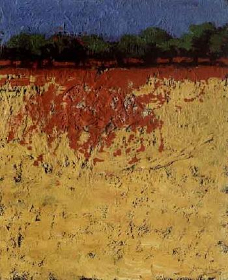 Poppy field by Carlo Mattioli
