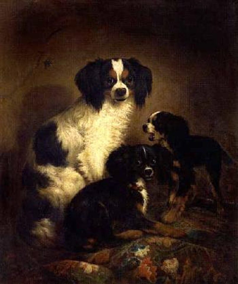 Spaniels by August Knip