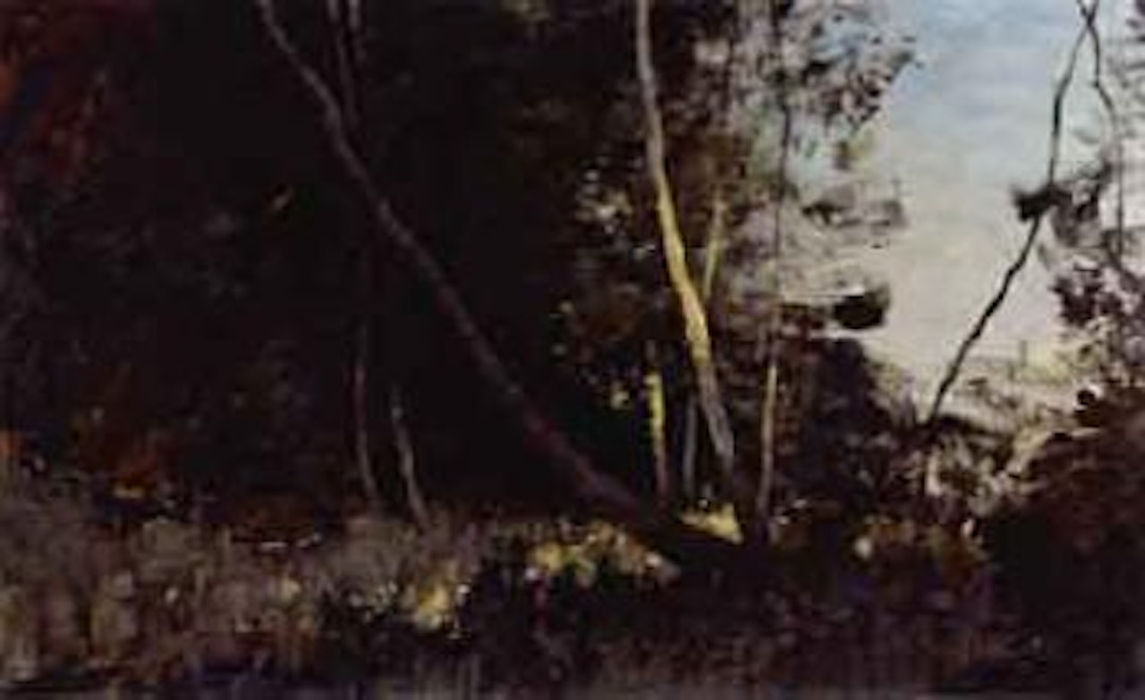 Leaning willow by Edward Seago