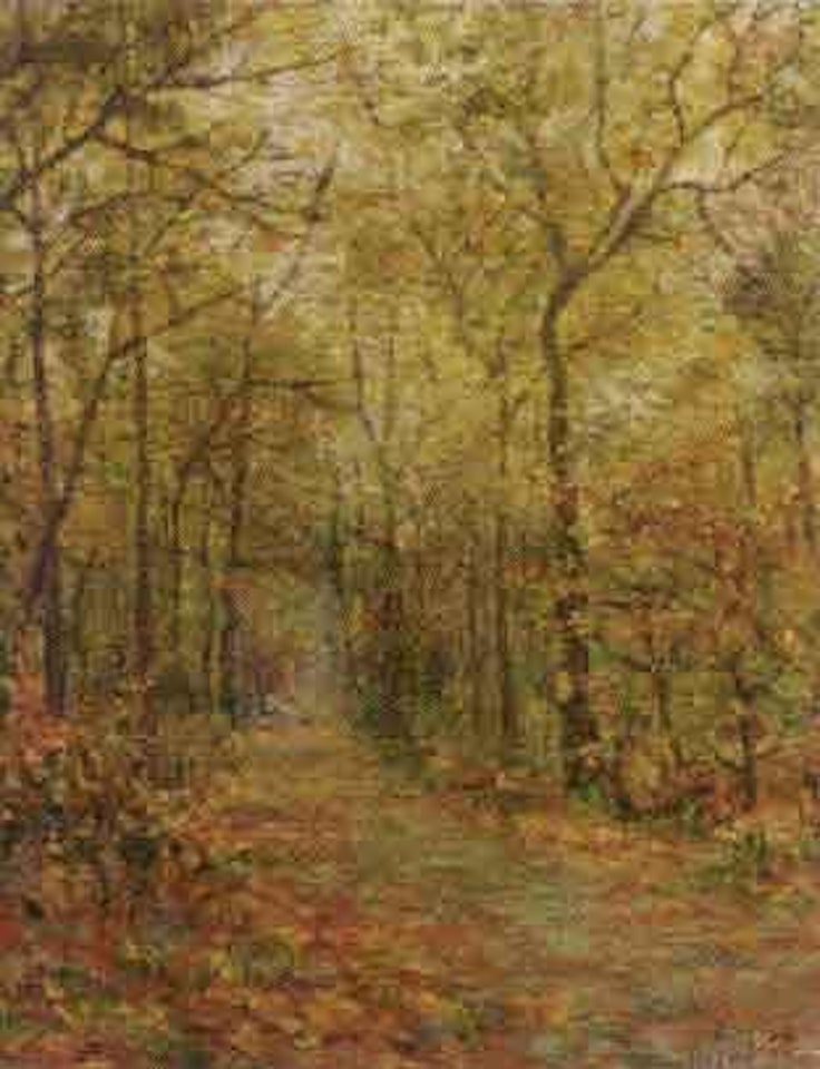 Path through the forest by Olivier de Penne