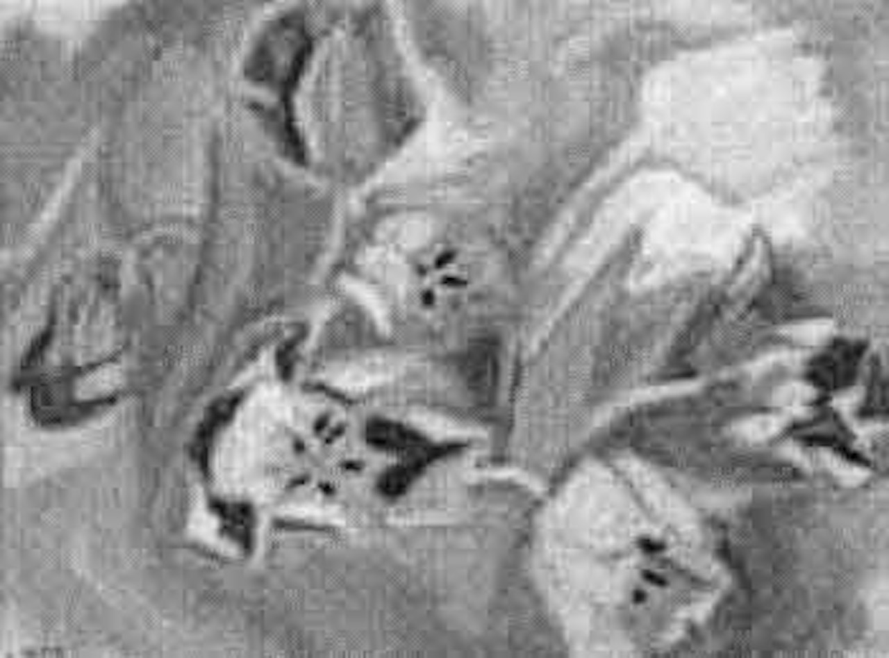 Bouquet by André Lhote