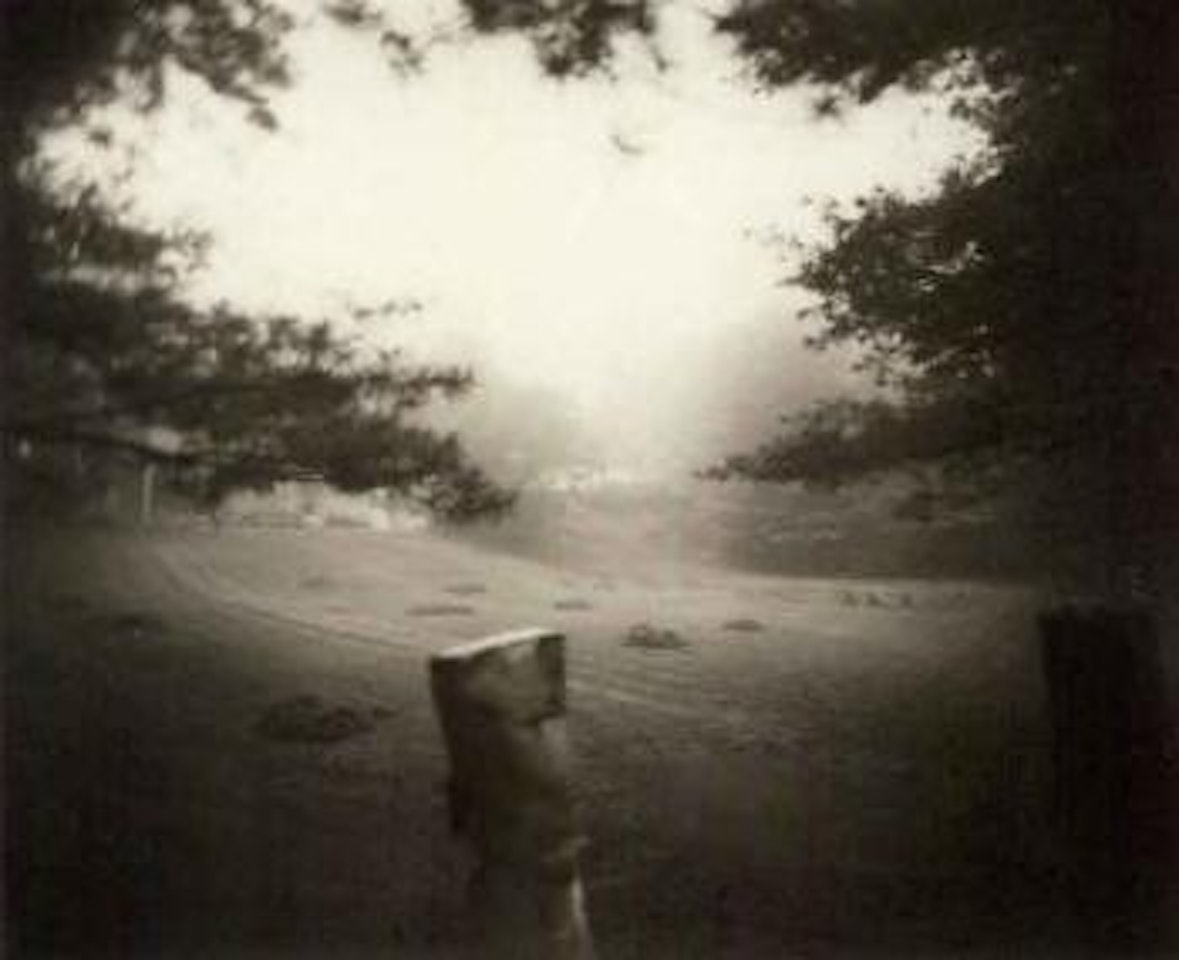 Emmett at Halloween by Sally Mann