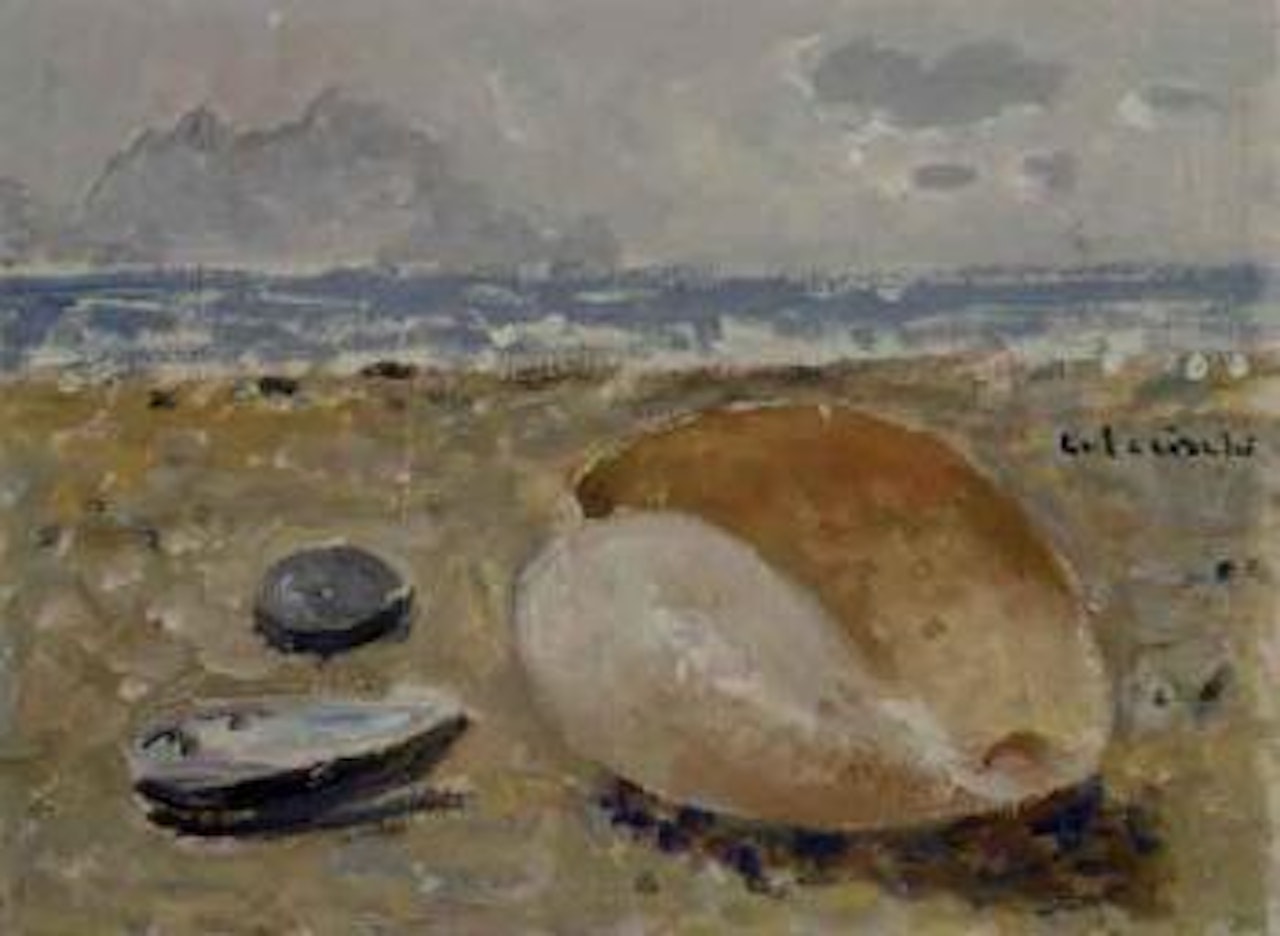 Seashells by the sea by Giovanni Colacicchi