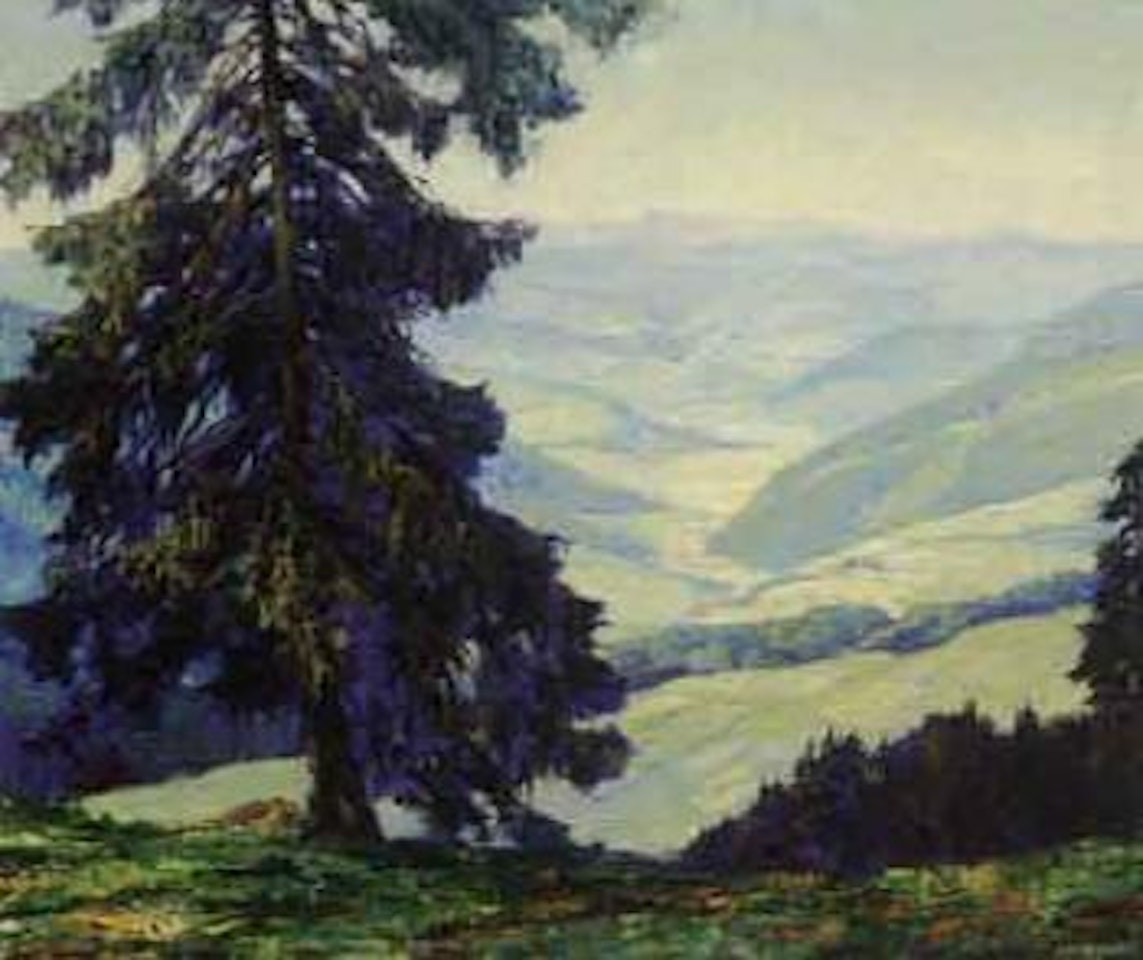 Schwartzwaldtannen, Das Muntertahl by Otto Pippel