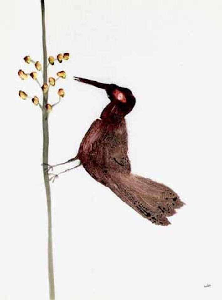 Bird by Sidney Nolan