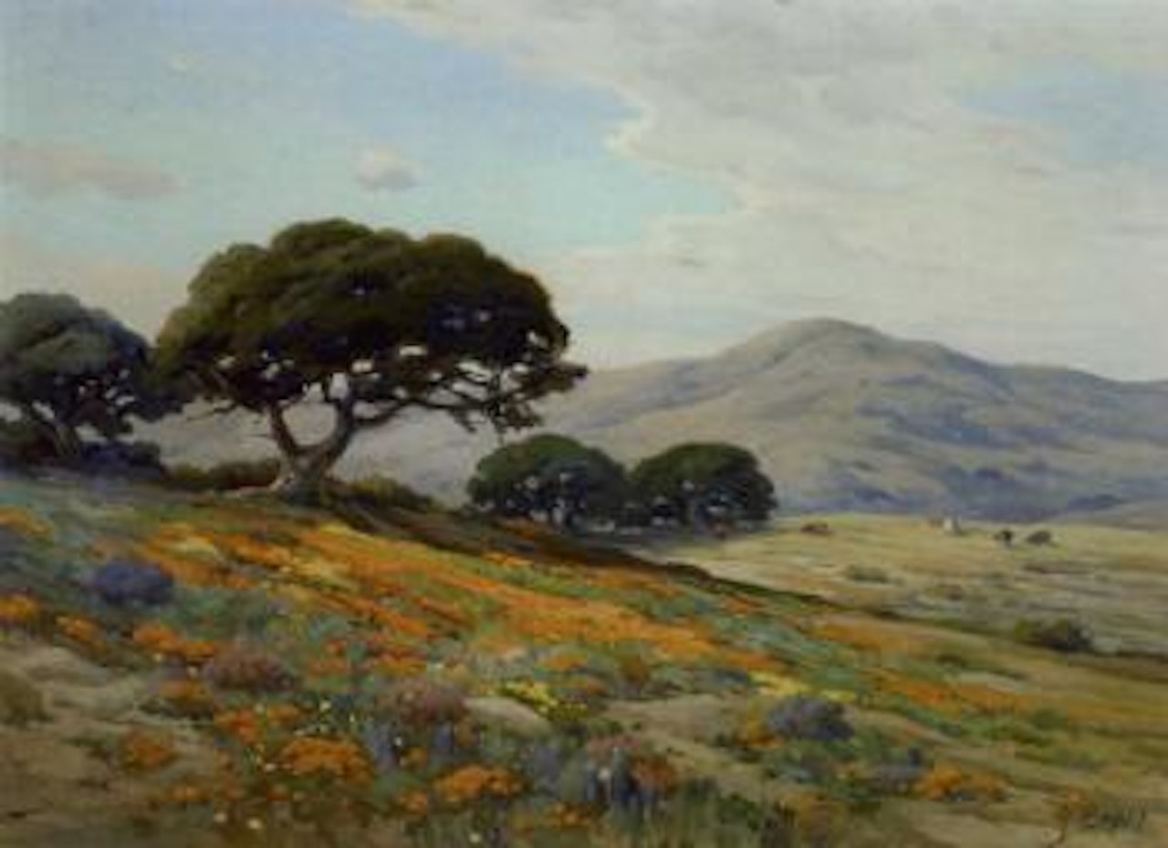 California lupines and poppies by Angel Espoy