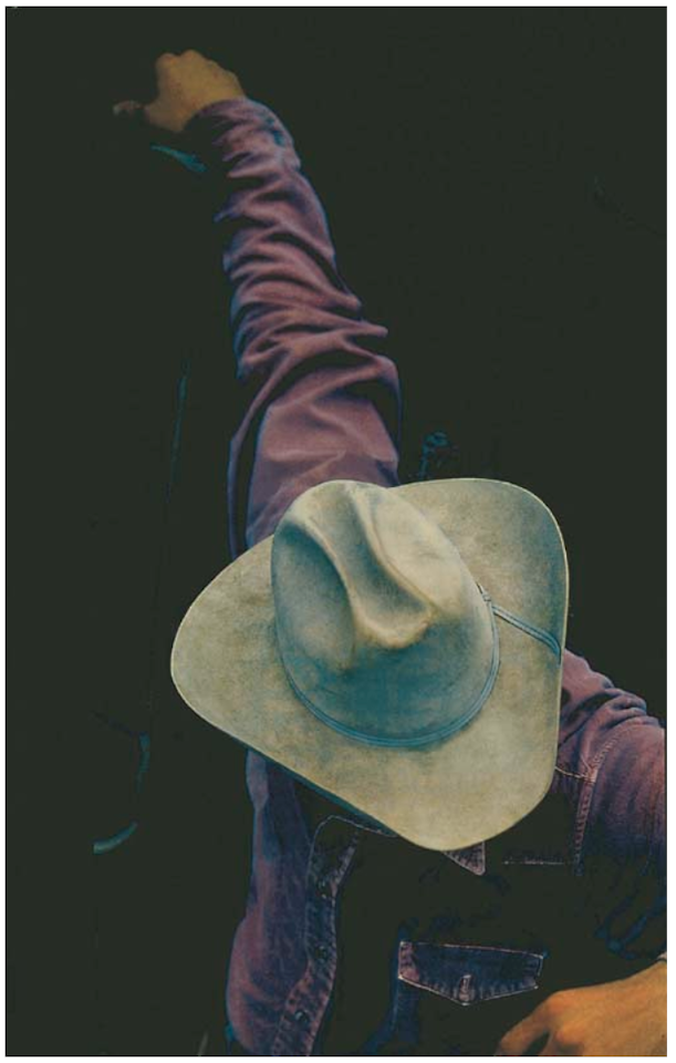 Cowboy by Richard Prince