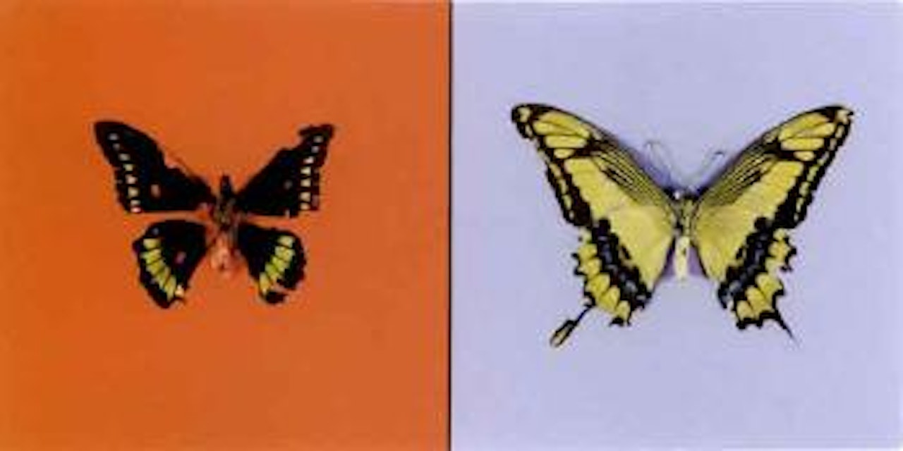 Love love by Damien Hirst