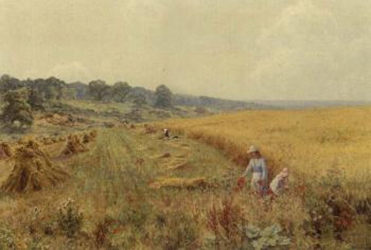 Picking poppies in flower-fringed fields by Edward Wilkins Waite