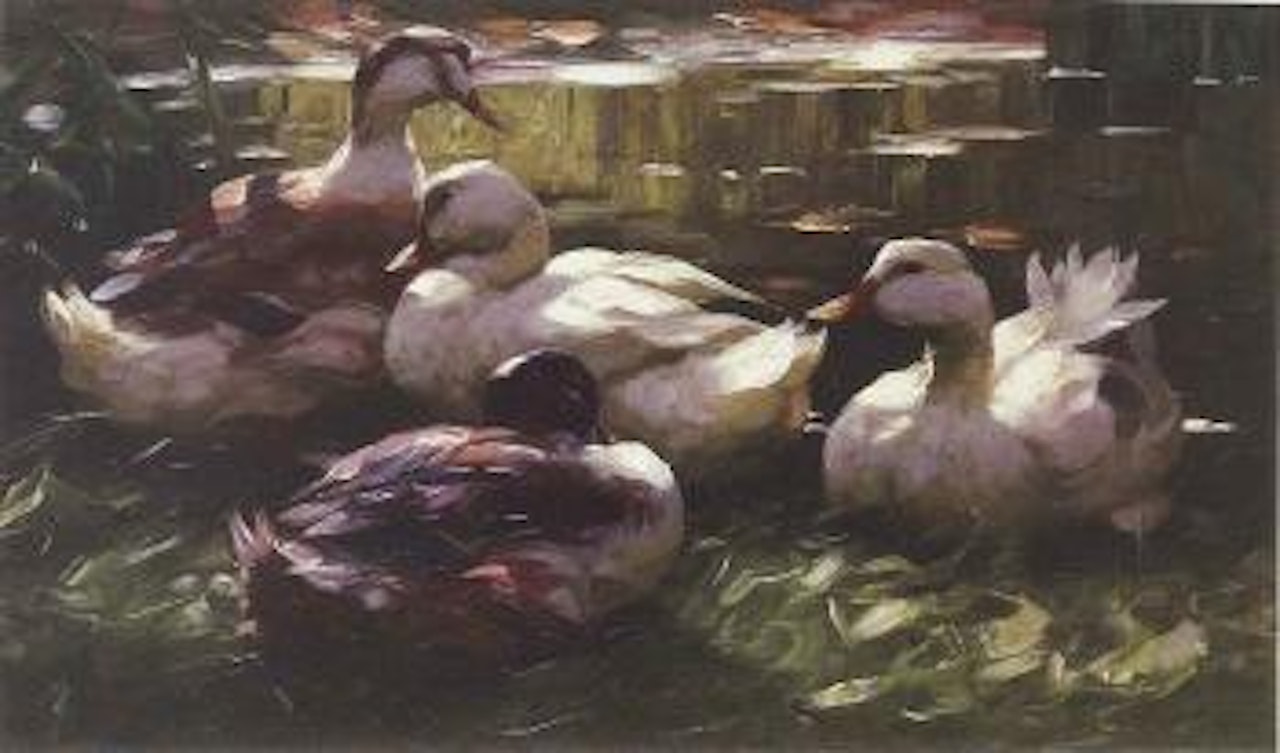 Four ducks swimming on a pond by Alexander Koester