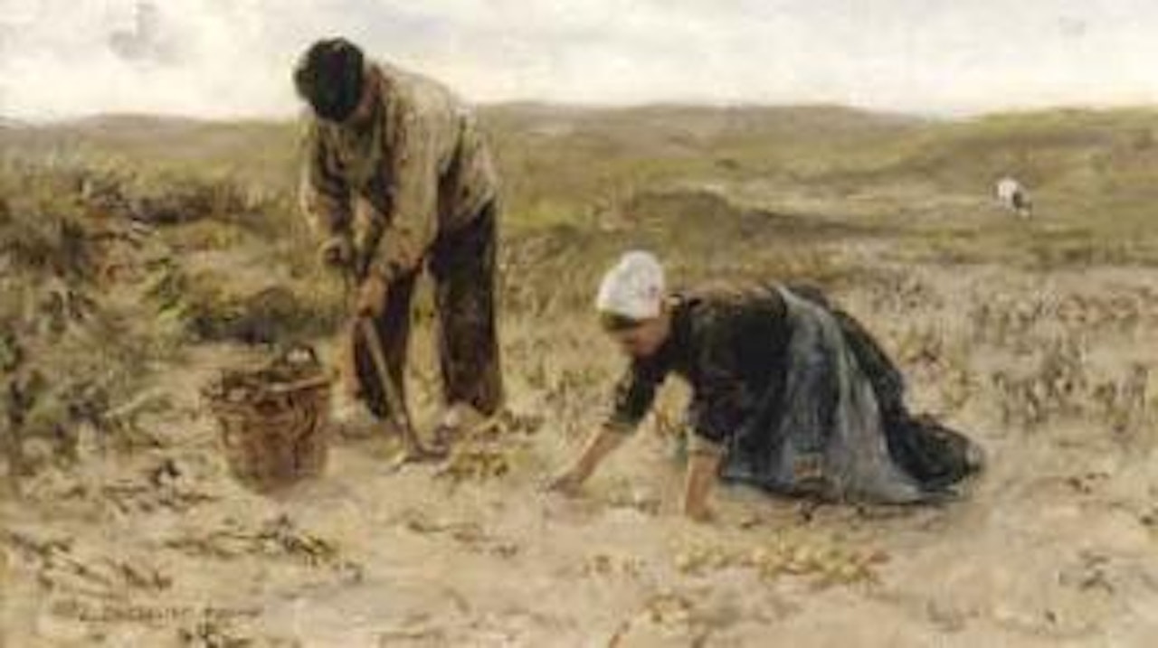 In the fields by Jan Zoetelief Tromp