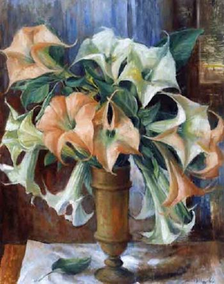 Pink datura by Margaret Hannah Olley