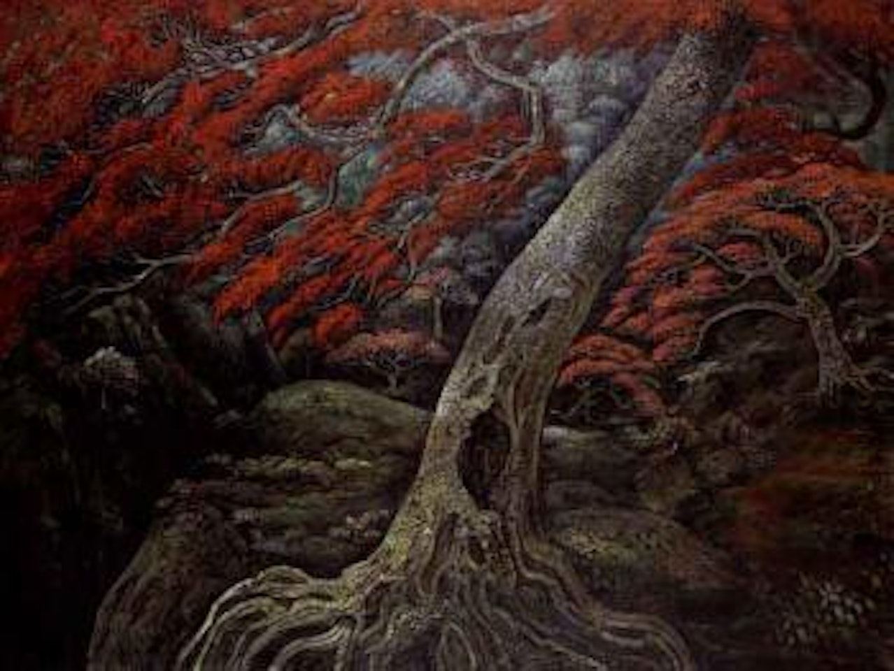 Flamboyan by Haji Widayat