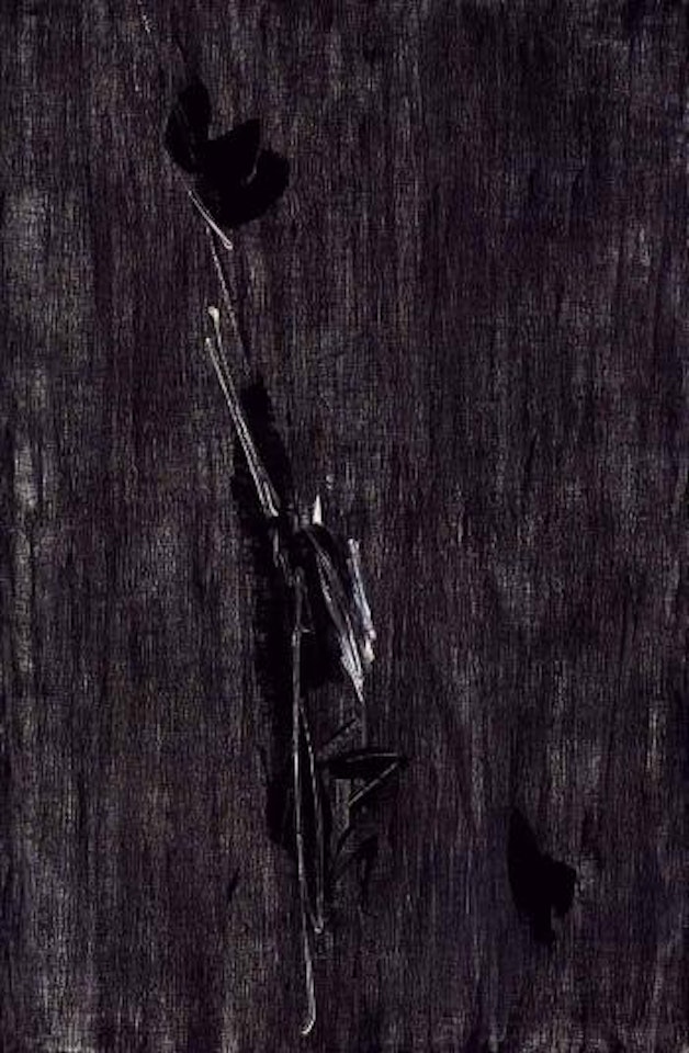 29 aout II 1956 by Jean Degottex