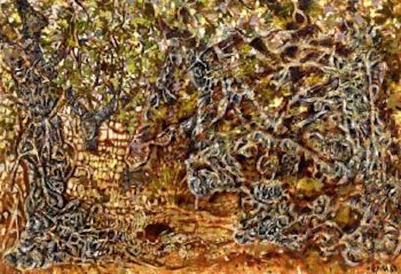 Plane trees by Nicolas Ghika