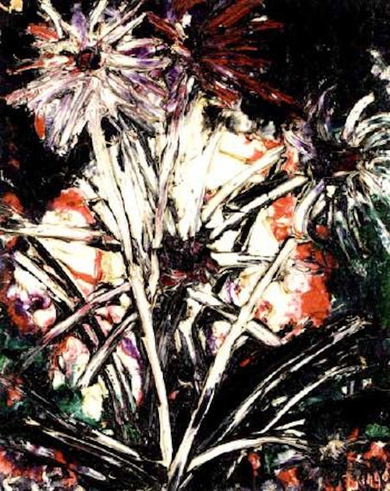 Flowers on black background by Thanos Tsingos