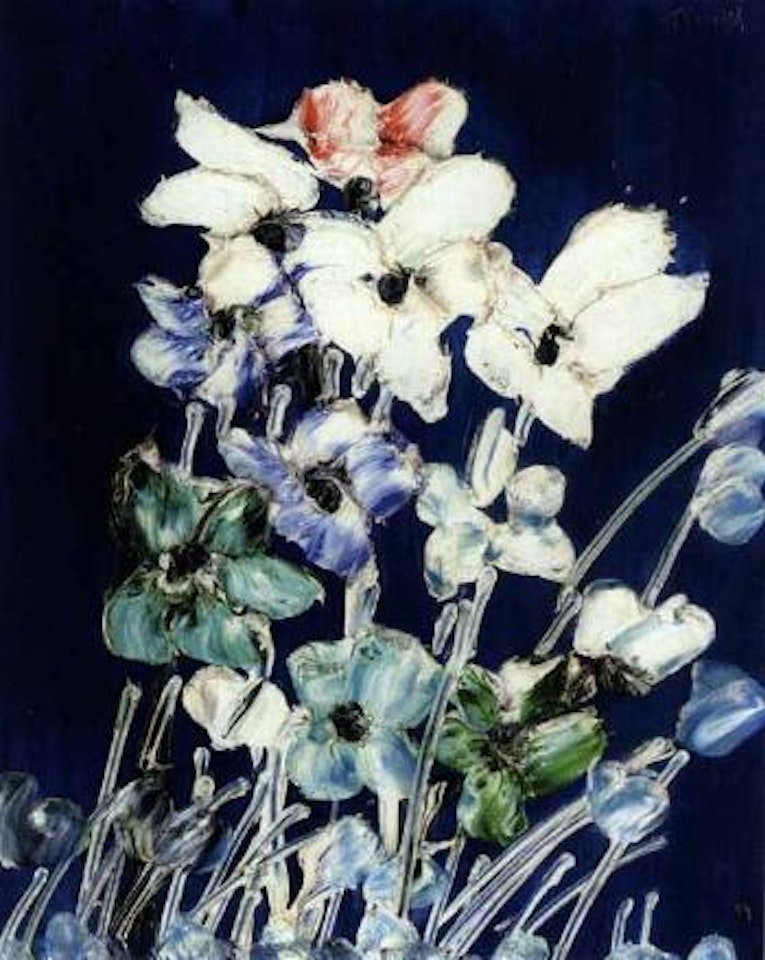 Flowers on blue background by Thanos Tsingos