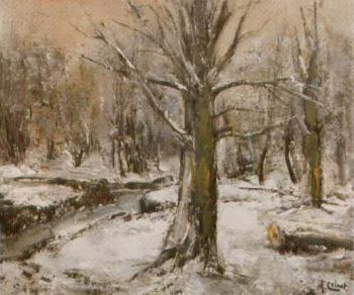 A tree in winter by Arnout Colnot