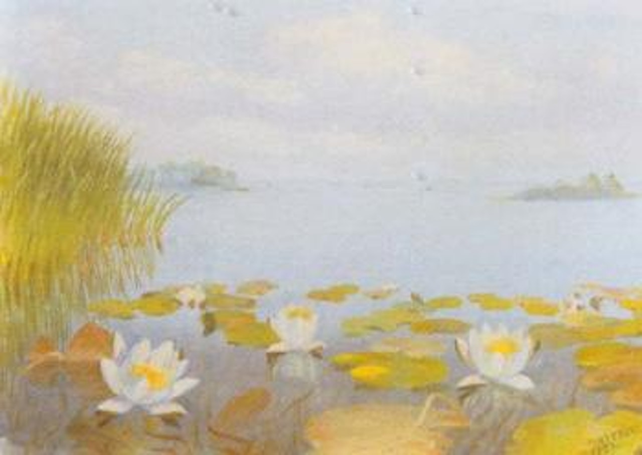 Water lilies by Dirk Smoorenberg