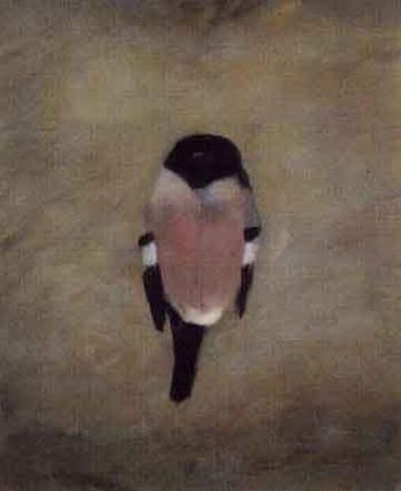 Bullfinch by Mary Newcomb